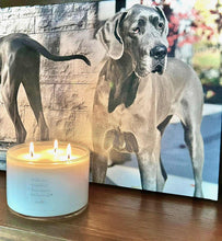Load image into Gallery viewer, Everglow - Pet Memorial Candle